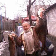  ,   , 55 ,   