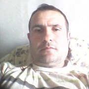 ���������� ��������, ���� ������� ����, 46 ���, ������������ 