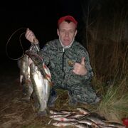 ���������� �����������, ���� ������� �����, 38 ���, ������������ ��� ������, ����� � ���������