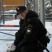 ���������� ������, ���� ������� Grysha, 44 ����, ������������ ��� ������, ����� � ���������, c�������� ���������