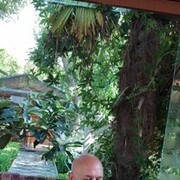  ,   , 61 ,   , 