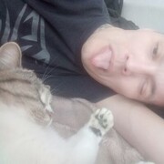 ���������� ������-��-����, ���� ������� �������, 35 ���, ������������ ��� c�������� ���������, ���������