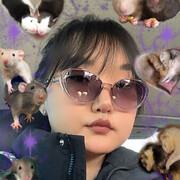 ���������� �����-���������, ���� ������� �����, 23 ����, ������������ ��� ������, ���������