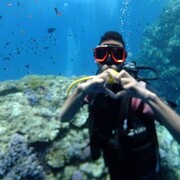 ���������� �������, ���� ������� �����, 33 ����, ������������ ��� ������, ����� � ���������, c�������� ���������