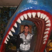 ,   , 55 ,  