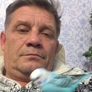 ���������� �����, ���� ������� ���������, 56 ���, ������������ ��� ������, ����� � ���������, c�������� ���������, ���������