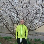 ���������� �����-���������, ���� ������� ����������, 36 ���, ������������ ��� ������, ����� � ���������