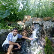  ,  tiko, 44
