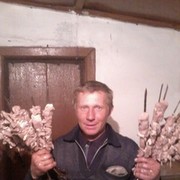  ,   , 50 ,  
