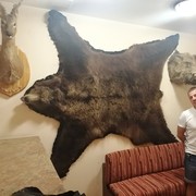 ���������� ���������, ���� ������� �����, 49 ���, ������������ ��� ������, ����� � ���������, c�������� ���������