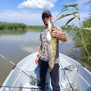 ���������� ���������, ������� ����, 28