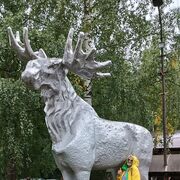 ���������� ������, ���� ������� �����, 53 ����, ������������ ��� ����� � ���������, c�������� ���������