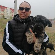  ,   , 51 ,   ,   