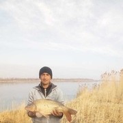 ���������� ������, ���� ������� ����, 36 ���, ������������ 