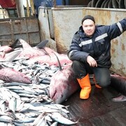 ���������� �����������, ���� ������� ������, 40 ���, ������������ ��� ������, ����� � ���������