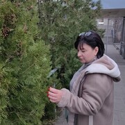 ���������� �����-���������, ���� ������� ����, 47 ���, ������������ ��� ������, ����� � ���������, c�������� ���������