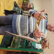  ,   , 44 ,   ,   