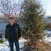  ,   , 66 ,   ,   