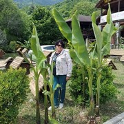 ���������� �����������, ���� ������� �������, 56 ���, ������������ ��� ������, ����� � ���������