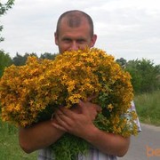 ���������� ����, ���� ������� ����, 49 ���, ������������ ��� ������, ����� � ���������, c�������� ���������