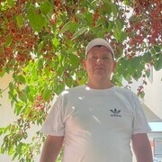 ���������� ������, ���� ������� ������, 44 ����, ������������ ��� ������, ����� � ���������, c�������� ���������, ���������