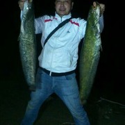  ,   Nono, 37 ,   ,   , c 