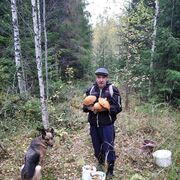 ���������� �����-���������, ���� ������� �������, 65 ���, ������������ ��� ������, ����� � ���������, c�������� ���������