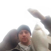  ,  Lilex, 38