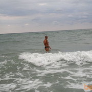  ,   Grog, 44 ,   ,   , c , 