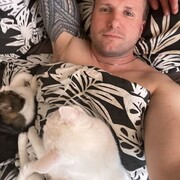  -,   , 41 ,   