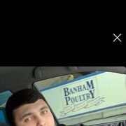  ,   , 28 ,   ,   