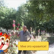  ,  , 47