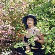 ���������� �����������, ���� ������� ����, 48 ���, ������������ ��� ������, ����� � ���������