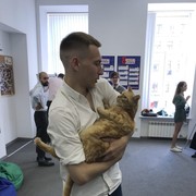 ���������� �����-���������, ���� ������� ������, 32 ����, ������������ ��� ������, ����� � ���������, c�������� ���������