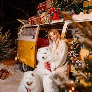 ���������� ������, ���� ������� �������, 47 ���, ������������ ��� ������, ����� � ���������