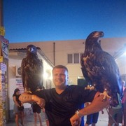 ���������� �������, ���� ������� ������, 36 ���, ������������ ��� ������, ����� � ���������, c�������� ���������