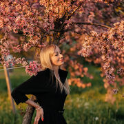 ���������� �����-���������, ���� ������� ����, 43 ����, ������������ ��� ������, ����� � ���������