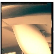 ���������� ������������, ���� ������� ������, 43 ����, ������������ ��� ������