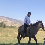 ���������� ������, ���� ������� ������, 31 ���, ������������ ��� ������, ����� � ���������, c�������� ���������, ���������