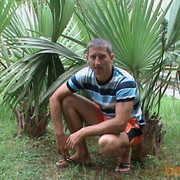  ,   , 46 ,   