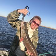 ,   Alisa, 54 ,   ,   