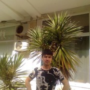 ���������� �����������, ���� ������� ������, 36 ���, ������������ ��� ������, ����� � ���������, c�������� ���������