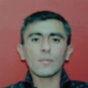  ,   Zaur, 50 ,   ,   , c 