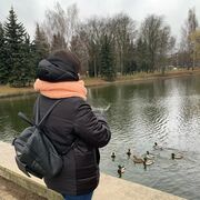  ,   , 29 ,     , c , 