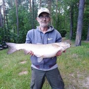  ,   , 66 ,   ,   , c , 
