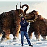 ���������� ������, ���� ������� ����, 43 ����, ������������ ��� ������, ����� � ���������