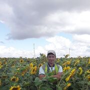  ,   , 51 ,   ,   