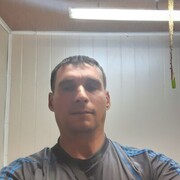  ,   Vitek, 43 ,     , c 