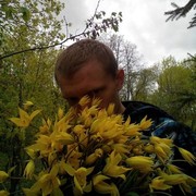  ,   , 38 ,   ,   , c 