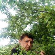  ,   , 43 ,   ,   